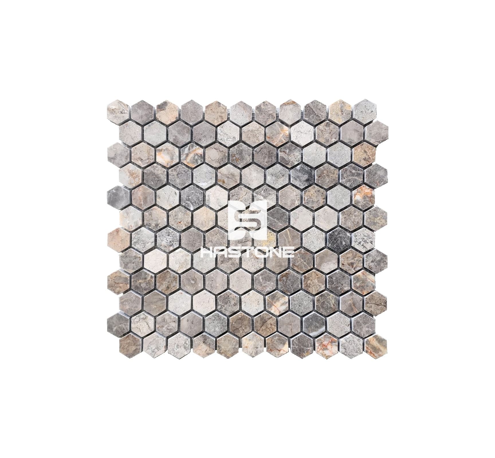 Multicolor Hex 1'' Polished Mosaic